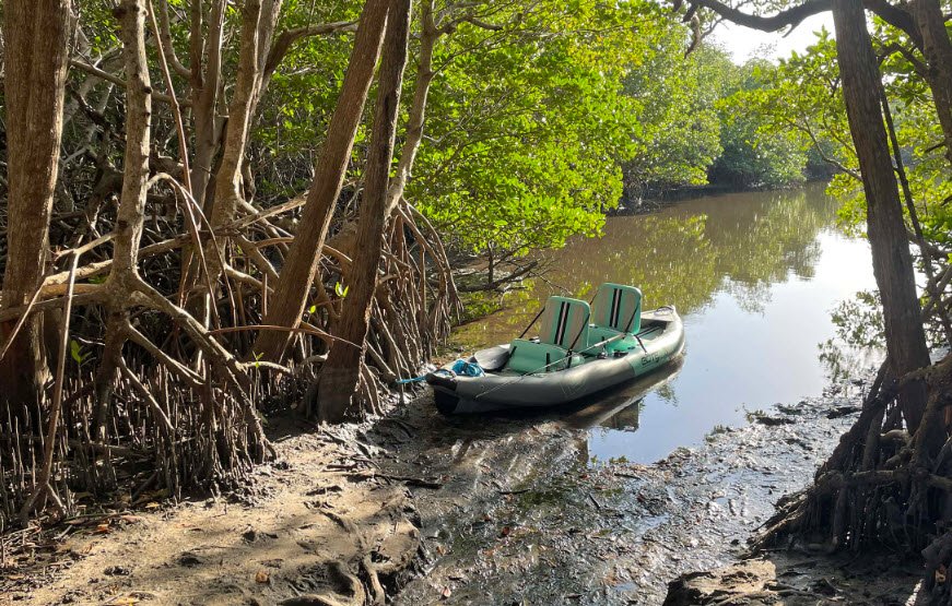 Saint Lucie Inlet Preserve State Park, Florida, USA